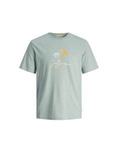 CAMISETA JUNIOR JORCASEY Gray Mist/Verde agua