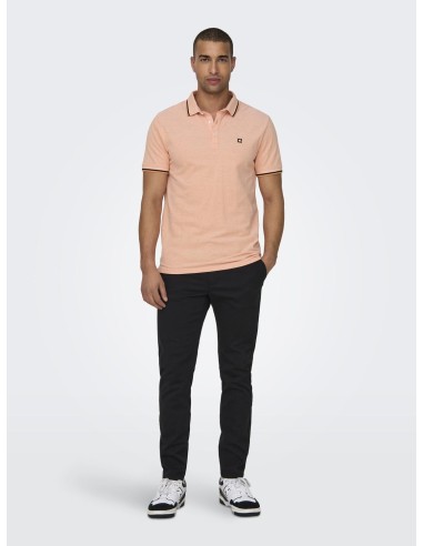 POLO ONSFLETCHER Muskmelon/Albaricoque