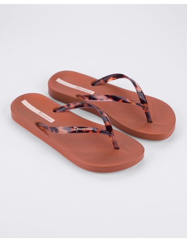 CHANCLA PLANA IPANEMA ANAT CONNECT Brown-Clear/Marrón-Carey