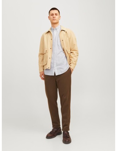 CAMISA DE MANGA LARGA JJEOXFORD Crockery/Beige