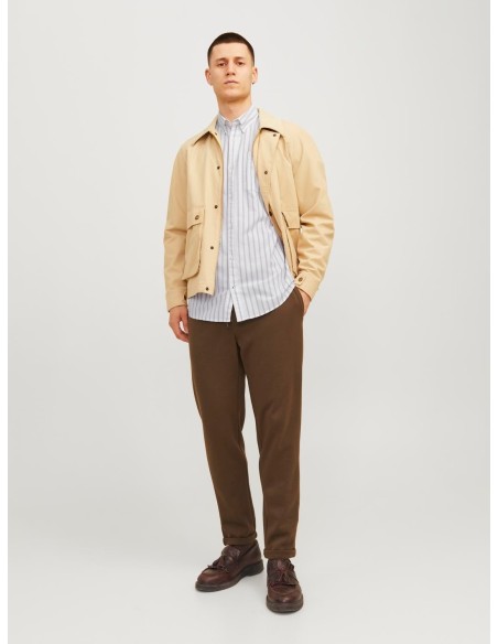 CAMISA DE MANGA LARGA JJEOXFORD Crockery/Beige