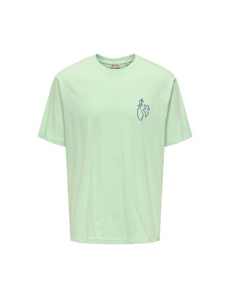 ONSMALIK ART LIFE RLX SS TEE CS Birds Egg Green Matisse Birds ONSMALIK ART LIFE RLX SS TEE CS Birds Egg Green Matisse Birds