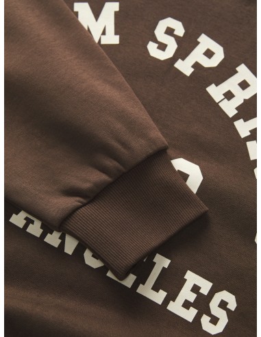 SUDADERA JXMERLE RLX SHORT LS CREW SWT LN Bracken PALM SPRINGS