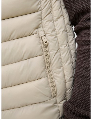PLUMIFERO SIN MANDAS JJEBRADLEY LIGHT BODYWARMER COLLAR NOOS Crockery
