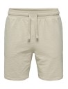 ONSKIAN LIFE STRAIGHT SEERS. SHORTS NOOS Silver Lining