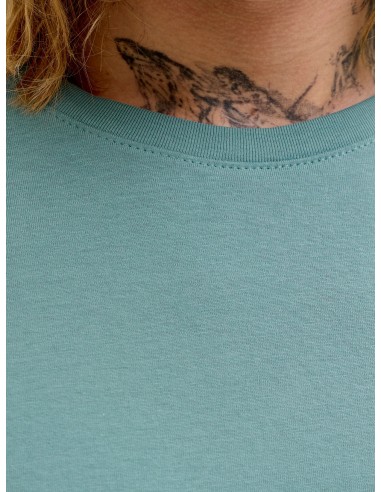 CAMISETA JJEPAULOS TEE SS CREW NECK NOOS Mineral Blue