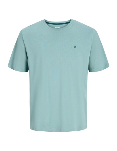 CAMISETA JJEPAULOS TEE SS CREW NECK NOOS Mineral Blue