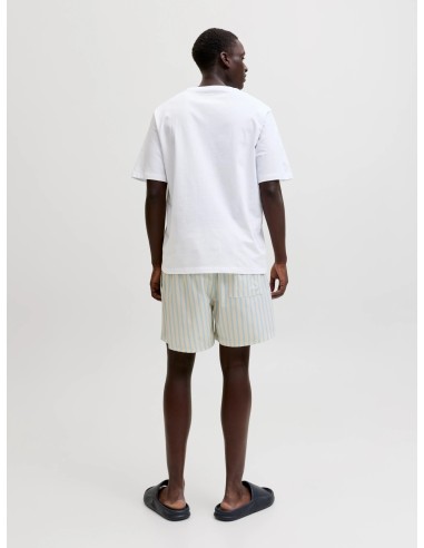 CAMISETA JJGRADIENT PRINT TEE SS CREW NECK LN Bright White
