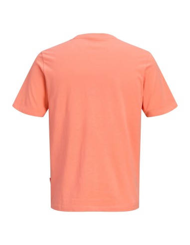 CAMISETA JCOFUSION DOTS PRINT TEE SS CREW SN Persimmon
