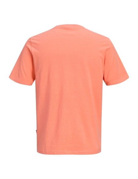 CAMISETA JCOFUSION DOTS PRINT TEE SS CREW SN Persimmon