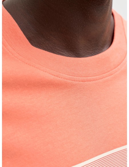 CAMISETA JCOFUSION DOTS PRINT TEE SS CREW SN Persimmon