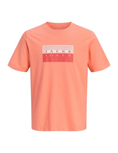 CAMISETA JCOFUSION DOTS PRINT TEE SS CREW SN Persimmon