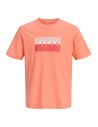 CAMISETA JCOFUSION DOTS PRINT TEE SS CREW SN Persimmon