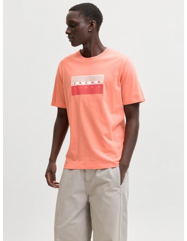 CAMISETA JCOFUSION DOTS PRINT TEE SS CREW SN Persimmon