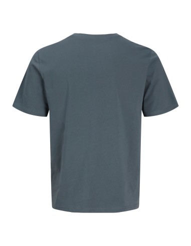 CAMISETA JJMUNK TEE SS CREW NECK Turbulence