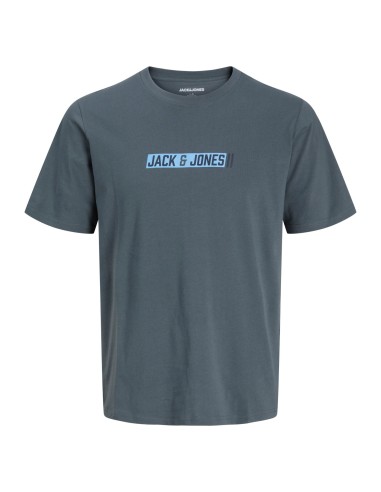 CAMISETA JJMUNK TEE SS CREW NECK Turbulence