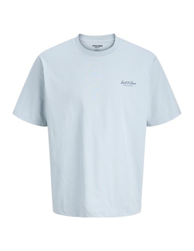 CAMISETA JJEARCHIVE GRAPHIC TEE SS O-NECK NOOS Celestial Blue