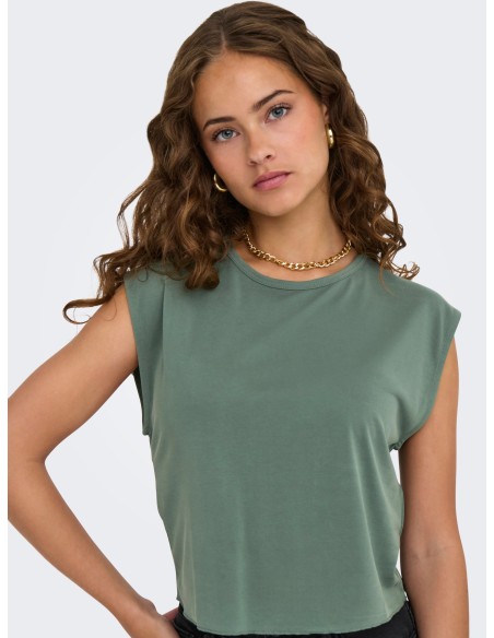 ONL30 FREE S/L TOP CS JRS Laurel Wreath