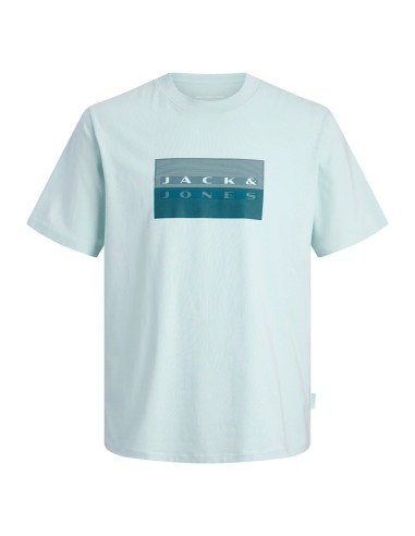 CAMISETA JCOFUSION DOTS PRINT TEE SS CREW SN Omphalodes