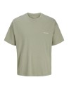 CAMISETA JORMONTAUK BACK GRAPHIC TEE SSCN EA26 SN Seagrass