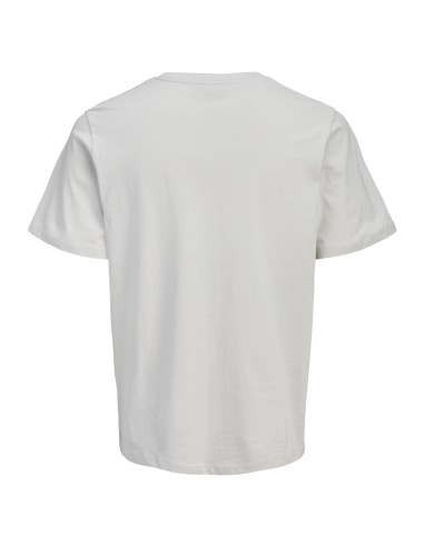 CAMISETA JJINDIANA TEE SS CREW NECK LN Glacier Gray