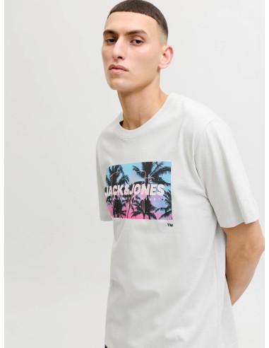CAMISETA JJINDIANA TEE SS CREW NECK LN Glacier Gray