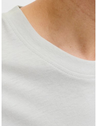 CAMISETA JJINDIANA TEE SS CREW NECK LN Glacier Gray