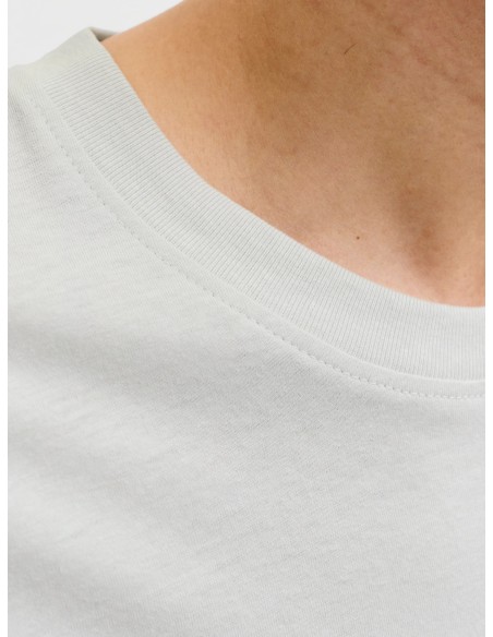 CAMISETA JJINDIANA TEE SS CREW NECK LN Glacier Gray