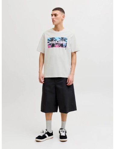 CAMISETA JJINDIANA TEE SS CREW NECK LN Glacier Gray
