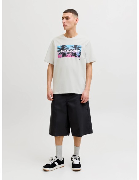 CAMISETA JJINDIANA TEE SS CREW NECK LN Glacier Gray