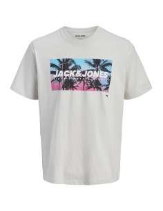 CAMISETA JJINDIANA TEE SS CREW NECK LN Glacier Gray