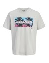 CAMISETA JJINDIANA TEE SS CREW NECK LN Glacier Gray