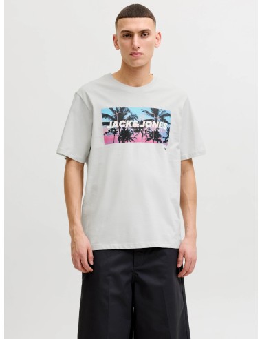 CAMISETA JJINDIANA TEE SS CREW NECK LN Glacier Gray