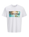 CAMISETA JJINDIANA TEE SS CREW NECK LN Bright White