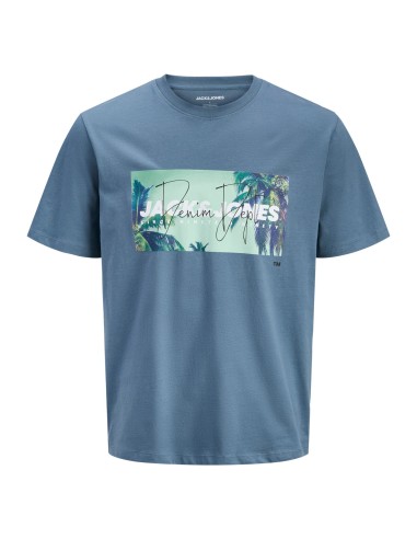 CAMISETA JJINDIANA TEE SS CREW NECK LN Blue Mirage