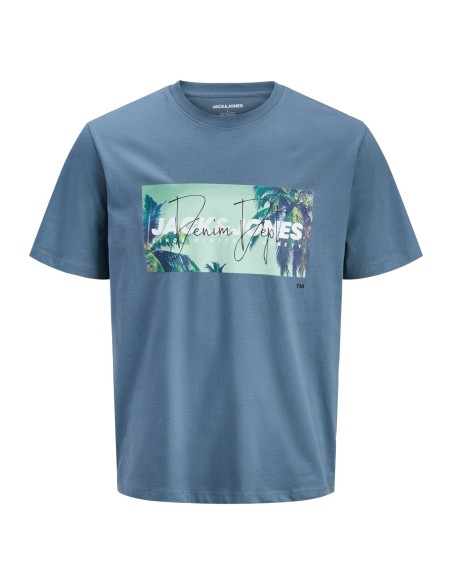 CAMISETA JJINDIANA TEE SS CREW NECK LN Blue Mirage