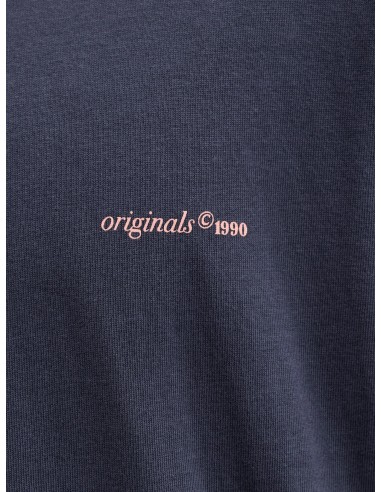 CAMISETA JORMONTAUK BACK GRAPHIC TEE SSCN EA26 SN Odyssey Gray W. BANDANA