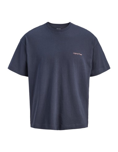 CAMISETA JORMONTAUK BACK GRAPHIC TEE SSCN EA26 SN Odyssey Gray W. BANDANA