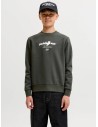 JCOCLUB BRANDING SWEAT CREW NECK JNR Peat JJ