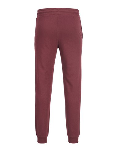 PANTALÓN DE CHÁNDAL NIÑO JPSTGORDON Port Royale/Burdeos