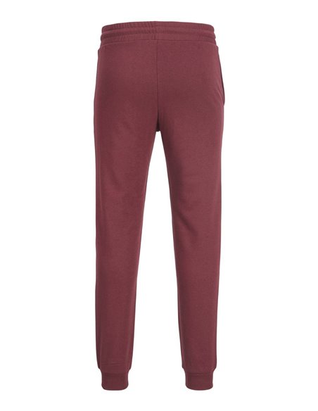 PANTALÓN DE CHÁNDAL NIÑO JPSTGORDON Port Royale/Burdeos