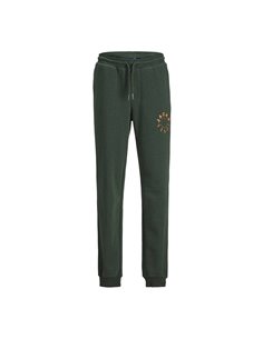 PANTALÓN DE CHÁNDAL JUNIOR JPSTGORDON Mountain View/Verde