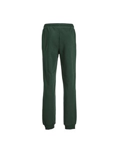 PANTALÓN DE CHÁNDAL JUNIOR JPSTGORDON Mountain View/Verde 2