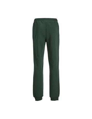 PANTALÓN DE CHÁNDAL JUNIOR JPSTGORDON Mountain View/Verde