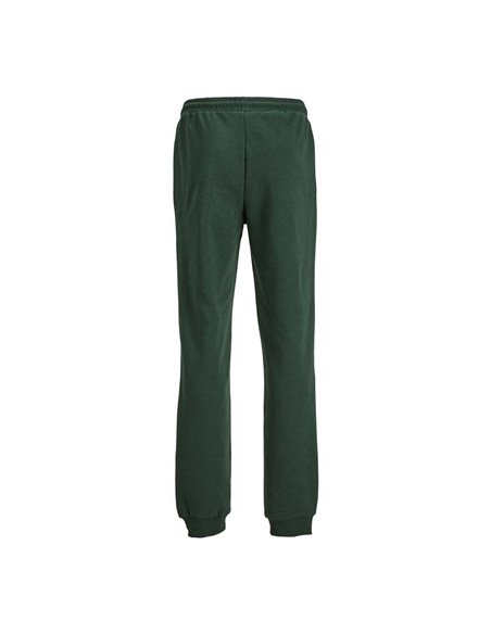 PANTALÓN DE CHÁNDAL JUNIOR JPSTGORDON Mountain View/Verde