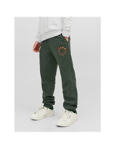 PANTALÓN DE CHÁNDAL JUNIOR JPSTGORDON Mountain View/Verde
