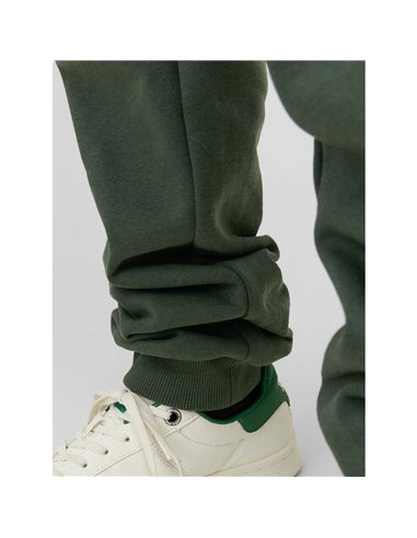 PANTALÓN DE CHÁNDAL JUNIOR JPSTGORDON Mountain View/Verde