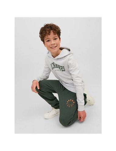PANTALÓN DE CHÁNDAL JUNIOR JPSTGORDON Mountain View/Verde