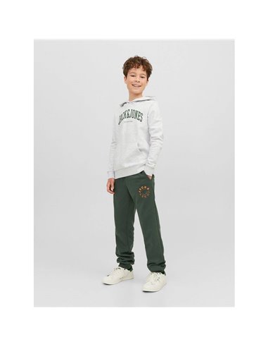 PANTALÓN DE CHÁNDAL JUNIOR JPSTGORDON Mountain View/Verde