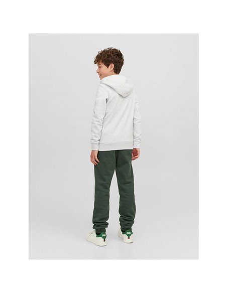 PANTALÓN DE CHÁNDAL JUNIOR JPSTGORDON Mountain View/Verde